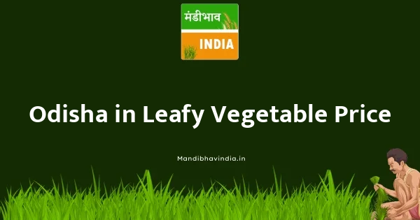 Leafy Vegetable भाव